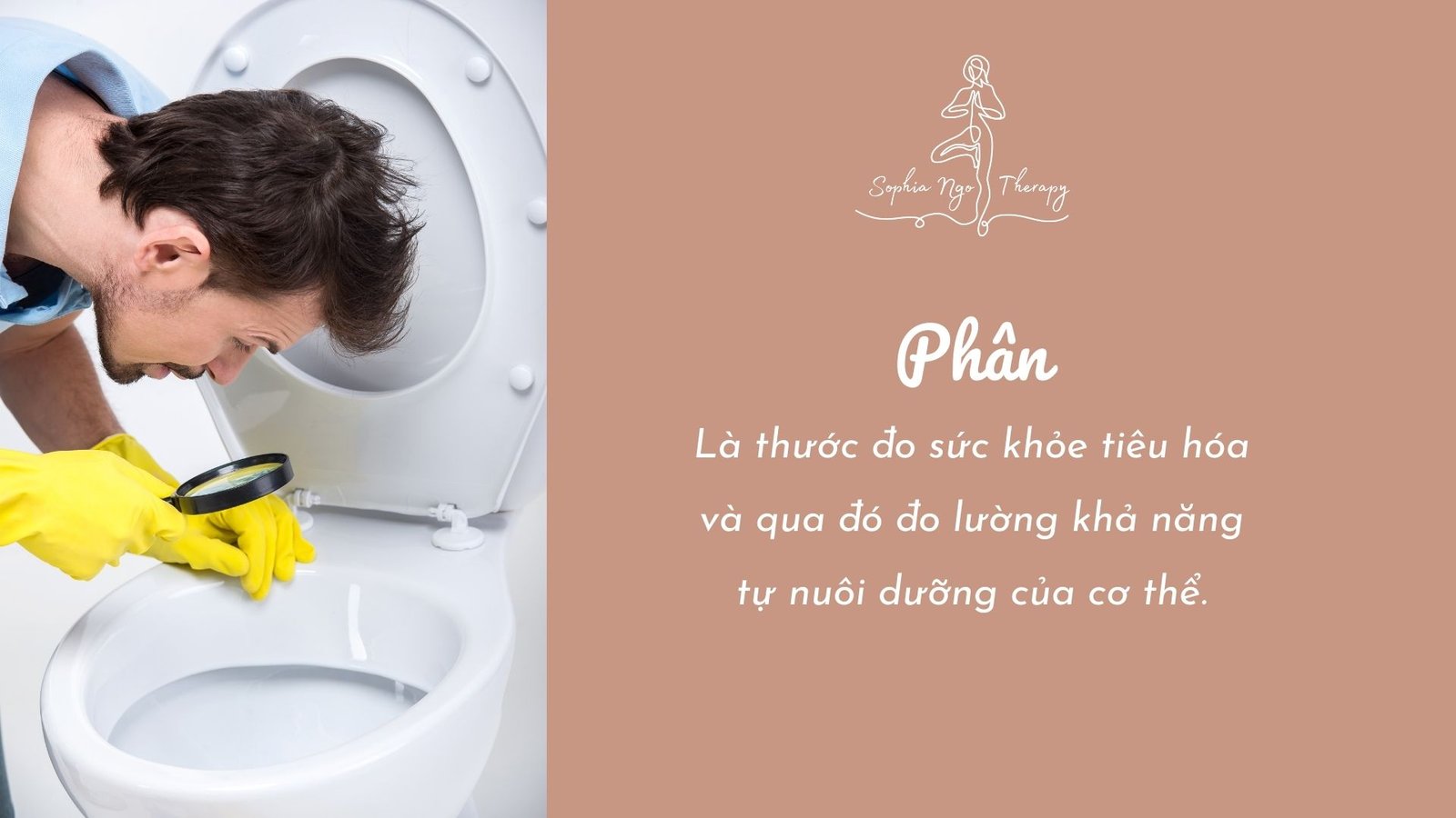 PHÂN HOÀN HẢO TRÔNG NHƯ THẾ NÀO?