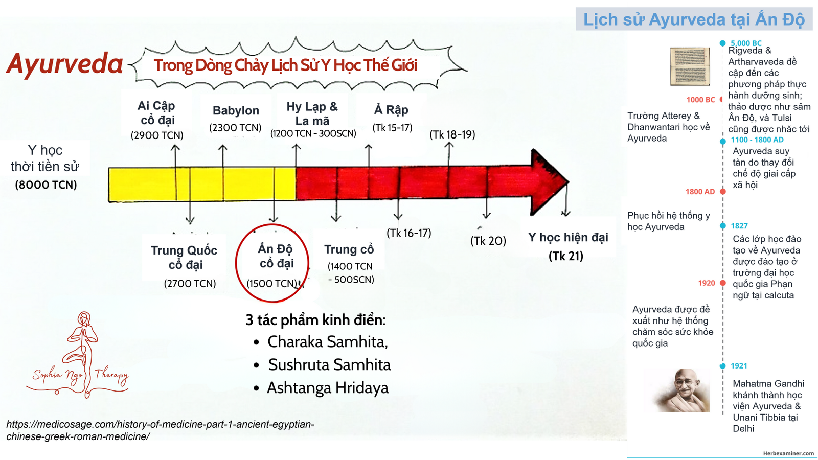 Ayurveda trong dòng chảy lịch sử y học thế giới