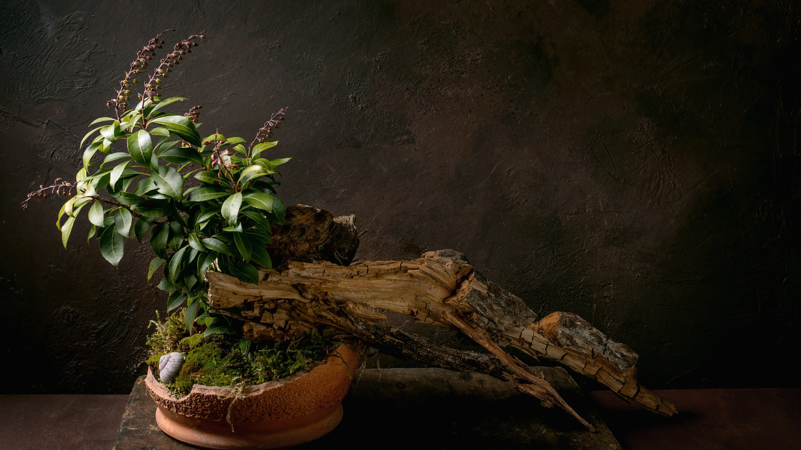 Ikebana: Hái một nhành hoa, thấy một Pháp giới
